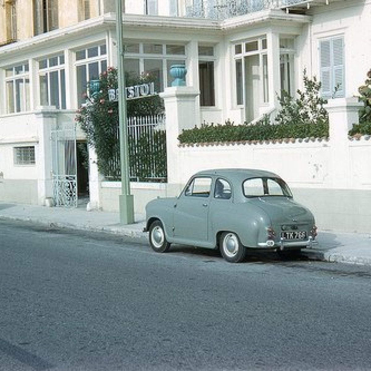 trueself branding sisterhood